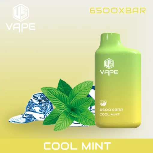 US-Vape-6500-Puffs-Rechargeable-Disposable-cool-mint