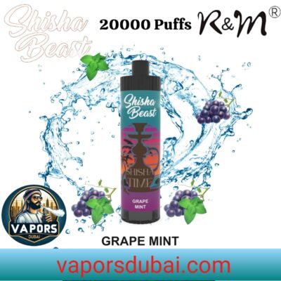 R&M Shisha Beast 20000 Puffs Disposable Vape