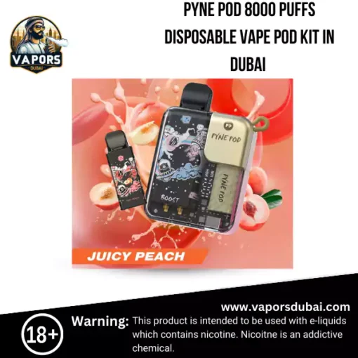 Pyne Pod 8000 Puffs Disposable Vape pod kit in Dubai